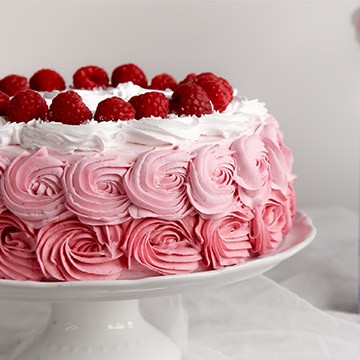 Vanilla cake with berry cream with ombré effect
